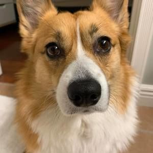 Meet your Posher, Diane